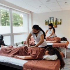 Wellness hotel Green Paradise, Karlovy Vary - Týdenní wellness dovolená