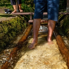 Lázně Kynžvart - lázeňský park