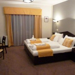 Wellness Hotel Studánka, Rychnov nad Kněžnou, Orlické hory - pokoj U Rybáře - sv. Martin
