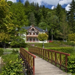 Slezský dům - Karlova Studánka - Alpská růže