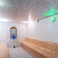Slezský dům - Karlova Studánka, parní sauna