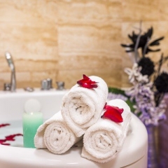 Lázeňský hotel Savoy, Františkovy Lázně - Krátkodobý pobyt Vital